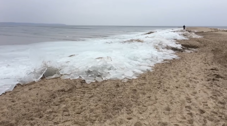 Silny wiatr przywiał krę prosto na Cypel Rewski