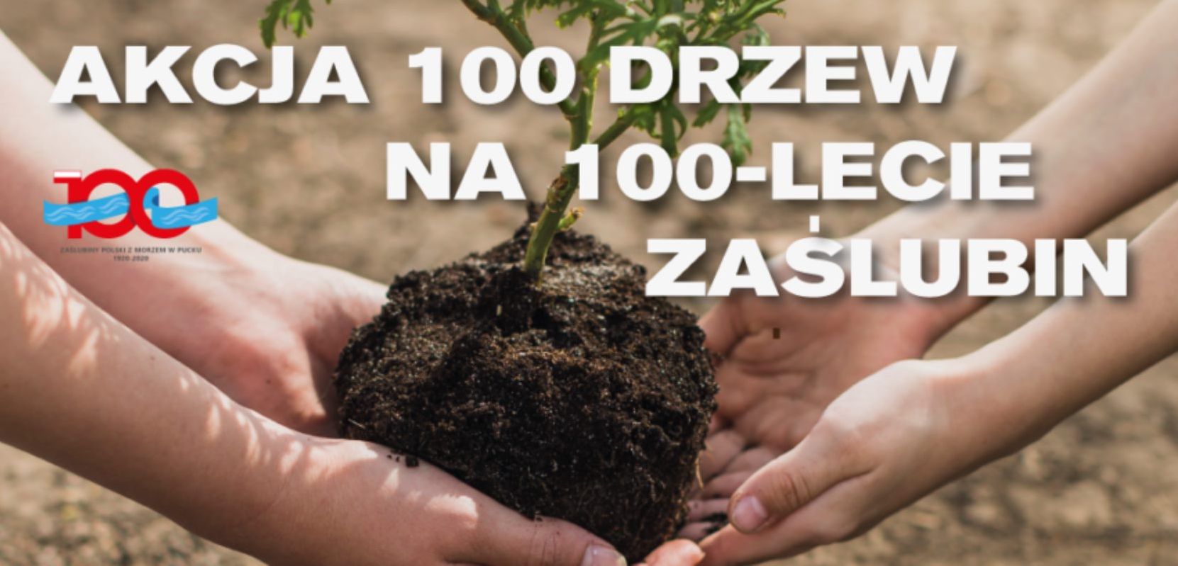 100 drzew na 100-lecie Zaślubin Polski z Morzem – zaproszenie