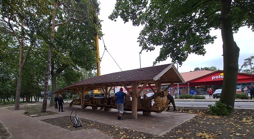 Helska „rzepka” w nowym miejscu