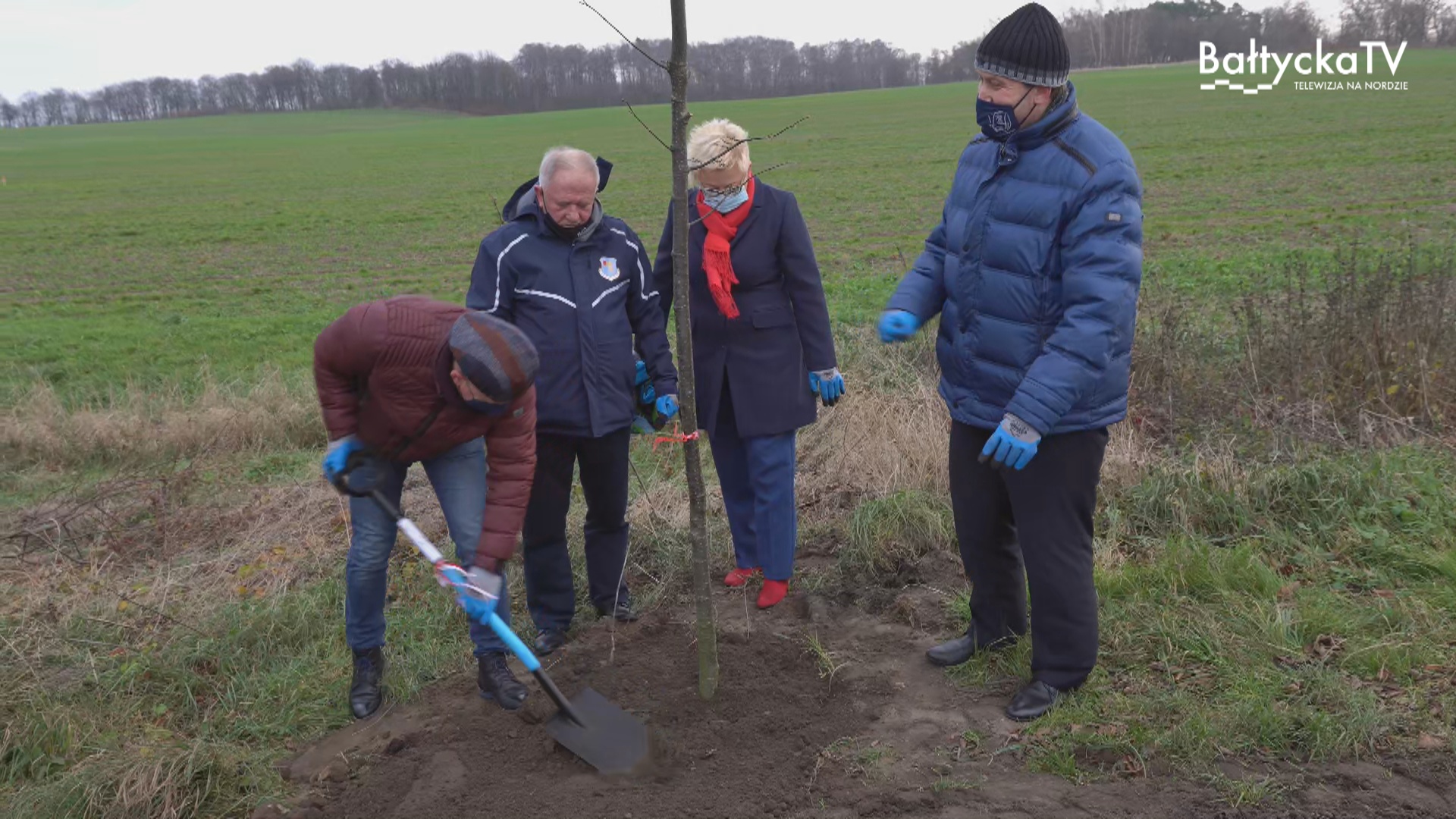 Nowe drzewa przy drodze Rzucewo – Osłonino