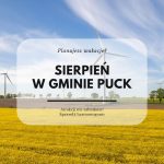 Sierpień w gminie Puck: Festiwal Bursztynu, kino pod gwiazdami i spotkanie z naturą!