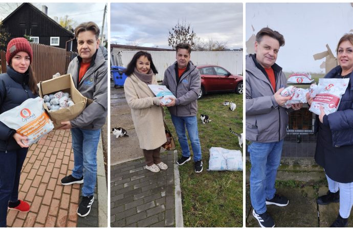 Gmina Władysławowo z akcją zimowego dokarmiania kotów: prawie tona karmy dla futrzanych mieszkańców